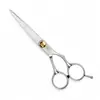 Suministro de fábrica tijeras de corte tijeras de acero inoxidable para el cabello herramientas para el cabello tijeras planas de 6 pulgadas tijeras de entresacar traje combinado