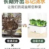 Maceta para plantar verduras en balcón, caja de plantación de verduras de autorriego, para personas perezosas, rectangular, para plantar cebolla, maceta de plástico para flores, interior, anillo de resina, envoltorio