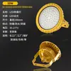 Luces LED Antiexplosivas Industriales y Mineras de Fábrica, Iluminación Especial para Almacenes de Plantas Químicas Industriales, Luces LED de Emergencia, Reflectores