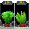 Plantas de Acuario, Decoraciones de Paisajismo con Césped Real, Plantas Aptas para Principiantes, Crisantemo Verde Ciempiés, Plantas de Sombra, Piedra Volcánica, Plantas Verdes Purificadoras de Agua