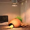 Lámpara de Sol para Tortugas en Stock, Lámpara Solar de Espectro Completo, Lámpara de Calentamiento para Incubación, Lámpara para Reptiles, Lámpara de Calentamiento para Mascotas