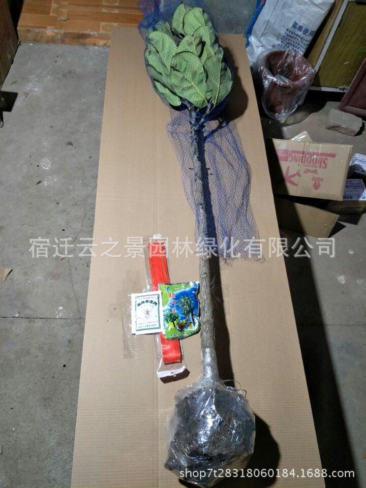 QQ鍥剧墖20171206231248