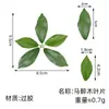 Proyecto de Verdeo con Hojas de Higuera Simuladas DIY Hojas Artificiales Falsas Flor Hecha a Mano Accesorios de Hoja de Rosa Hojas de Magnolia Venta al por Mayor