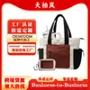Bolsa de Mão Feminina Transfronteiriça, Bolsa de Ombro Fofa, Bolsa de Ombro com Zíper, Bolsa de Viagem para o Trabalho