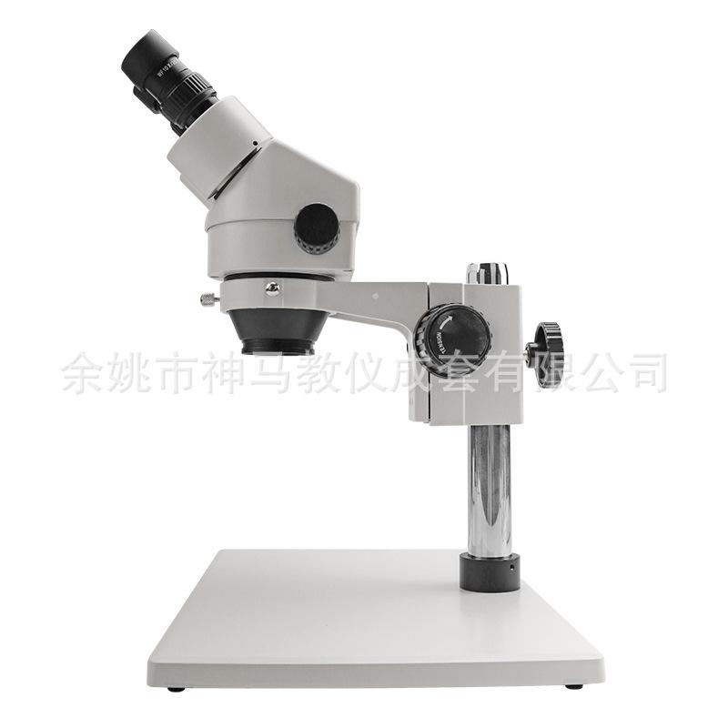 SZM45-B1 白色小连变大底座-9