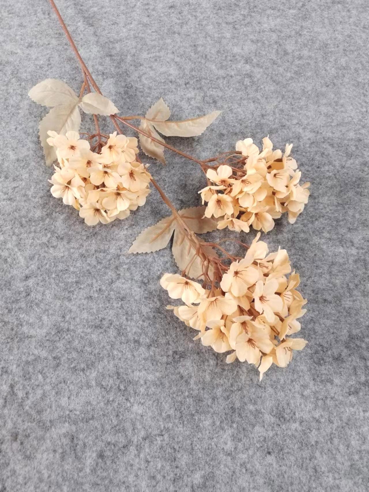 592a24c0f88cc0c47f4c5a829b32dd