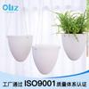 Fábrica atacadista de vasos Olinze transfronteiriça D vaso suspenso em forma de ovo vaso plástico para plantas preguiçosas em estoque Amazon jardinagem