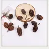 Pendientes de Planta Fruta Bellota Hechos a Mano DIY Fruta Pendientes Personalizados Creativos Material Chica Linda Pendientes Retro