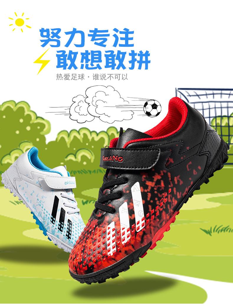 版面 (12).jpg