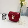 Bolso de Ropa Infantil Transfronterizo 2025 Verano Nuevo Patrón de Cocodrilo Bolso Pequeño Estilo Coreano Temperamento Dibujos Animados Bolso de Princesa