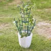Suporte para Flores Trepadeiras Suporte Garra Verde Orquídea Rosa Chinesa Clematis Suporte para Plantas de Varanda Suporte para Flores