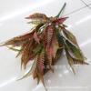 7 garfo persa samambaia simulação samambaia Mimosa cor de outono persa grama planta parede material correspondente fábrica de grama falsa atacado grama linha grama