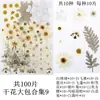 Flores Secas, Kit de Materiais para Prensagem de Flores Reais, Espécimes de Folhas Transfronteiriços, Espécimes de Plantas de Flores Prensadas DIY, Pétalas de Flores Secas para Resina para Artesanato