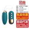 Vibrador Laile de serie completa, conversión de frecuencia, concha pequeña, palo de delfín, huevo saltarín, masturbador femenino, juguetes sexuales para adultos
