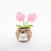 Venta Caliente Transfronteriza de Amazon Muñeca Maceta Flor Rosa Planta, Producto Terminado de Ganchillo Hecho a Mano, Artículo Decorativo Positivo, Ramo de Flores de Ganchillo