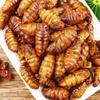 Pupa crujiente de gusano de seda Xijiu, vegetal especial de Shandong, bolsa abierta, instantánea, picante, fresca, capullo de pupa, frita, comida cocida, bocadillos, lote