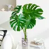 Planta Hidropónica Monstera Maceta Pila Vieja Purifica el Aire Ave del Paraíso Hoja Grande Follaje de Interior Planta Verde Perenne Todo el Año