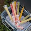Bolsa para paletas caseras, bolsa para palitos de hielo triturado, bolsa para paletas caseras, molde desechable para paletas, rejillas de hielo de grado alimenticio para el hogar