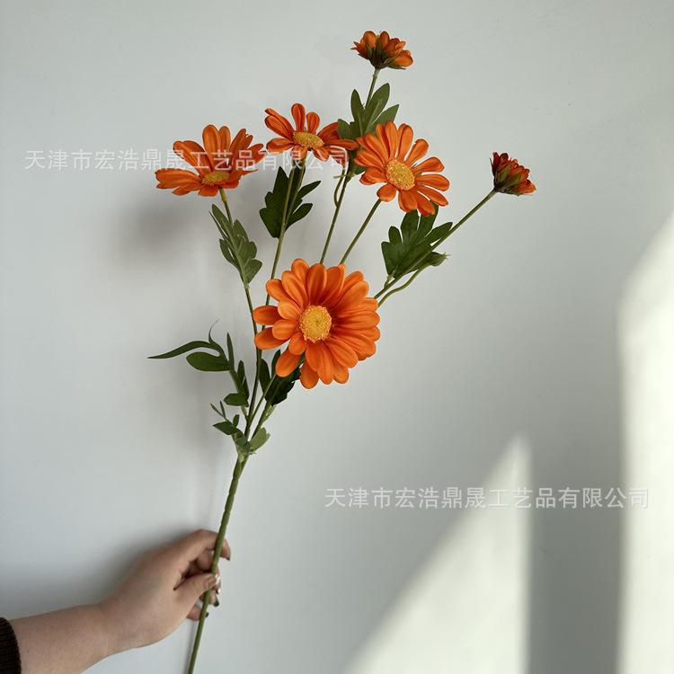 微信图片_202303151641293_副本