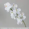 Orquídea Phalaenopsis Impressa em 3D 9 Flores Borracha Macia Flor de Simulação Materiais para Guia de Flores Arranjo de Flores Decoração de Casamento Arranjo Fundo de Arte Floral Flores Artificiais
