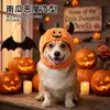 Atacado em estoque Chifre de diabo de Halloween Chapéu de cabeça de abóbora para animal de estimação Chapéu de pelúcia em formato de abóbora engraçado Fornecimento