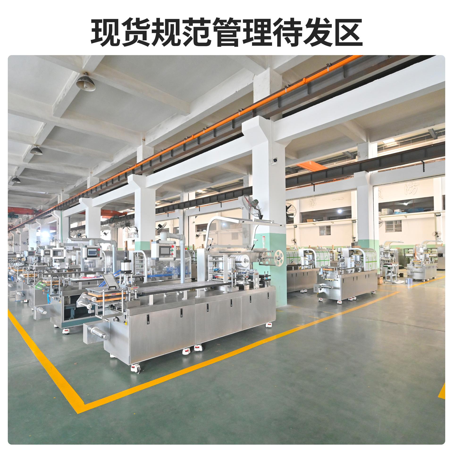 自动泡罩机