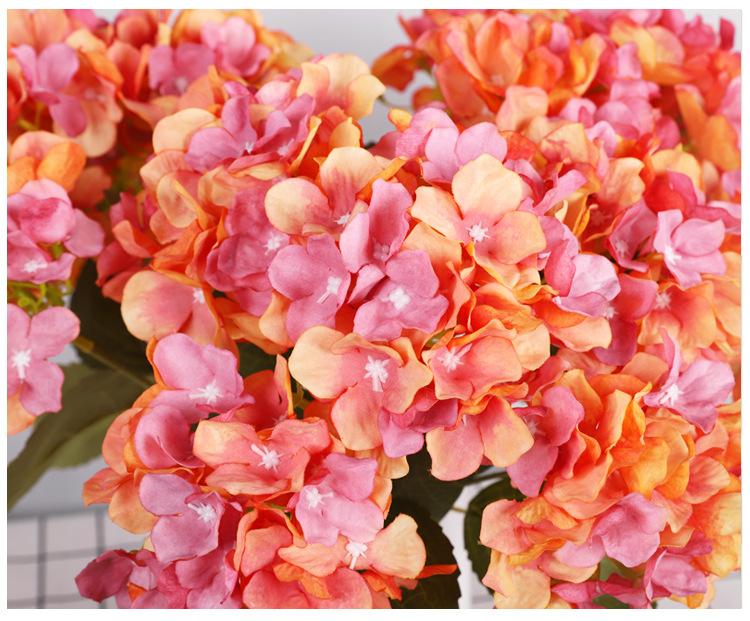 5头秋色绣球_09.jpg