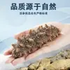Dalian Pepino de Mar Listo para Comer Pepino de Mar de Liaoning Tienda Principal Pepino de Mar Silvestre Bolsas de 0.5 kg en una Caja