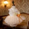 Saia para Pet Vestido de Gaze Estilo Primavera e Verão para Cães Bichon, Teddy, Spitz Alemão e Gatos, Vestido de Casamento Dourado Roupa Estilo Princesa