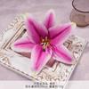 Cabeza de Flor de Lirio de Película Simulada Decoración de Paisajismo para Hogar Salón de Bodas Fila de Flores con Flores Artificiales Accesorios de Fotografía