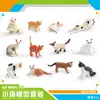 Mini simulação transfronteiriça para crianças modelo de gato de estimação gato laranja gato gordo Gato de pêlo curto britânico gato pastoral ornamentos decorativos