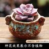 Vaso de Flor Carnuda Cerâmica Jardinagem Cerâmica Mini Novo Criativo Grés Casa Vintage Novo Vaso de Porcelana Vaso