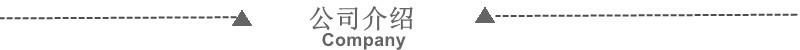公司介绍