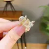 Grampo de Cabelo Flor de Cristal Flor de Cerejeira Exquisito de Alta Qualidade em Formato de Coração, Novo Grampo da Testa Moderno, Presilha Popular, Top Clip, Clip para Franja