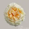 Flores Artificiais Champanhe, Rosas e Hortênsias Realistas de Alto Padrão, Atacado para Decoração de Casamento, Materiais DIY para Arte Floral