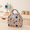 Bolsa Satchel Catiónica Impermeable para Almuerzo con Aislamiento Bolsa Lonchera Aislada Bolsa Aislada Lámina de Aluminio Engrosada Bolsa de Hielo Bolsa para Almuerzo