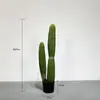 Cactos e Suculentas Artificiais Atacado para Paisagismo, Paisagens com Plantas Falsas Tropicais e Desérticas
