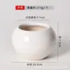 Vaso de Cerâmica Florido Simples Nórdico Branco Jardinagem Planta em Vaso Ornamentos de Porcelana Branca Vaso de Flor Suculenta Mesa Interna Planta Verde Vaso