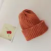 Gorro para Niños Nuevo Placa Ligera Color Sólido Gorro de Lana Tejido para Padres e Hijos Otoño e Invierno Cálido Gorro Protector de Orejas Moderno para Niños y Niñas