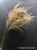 Con fruta peluda Otoño 2 tenedor Caña simulación hierba de cebolla cola de perro césped artificial Nórdico decorativo en maceta interior suelo planta verde