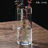 Garrafa de planta hidropônica vaso de vidro reto alta borossilicato vaso de mesa arranjo de flores ornamentos tanque ecológico garrafa de paisagem com musgo