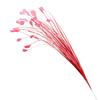 Nueva simulación de boda, hierba de pavo real, hierba de feiling, flor falsa, hierba pteris de plástico, caña, fuegos artificiales, paisaje, floricultura, flor decorativa