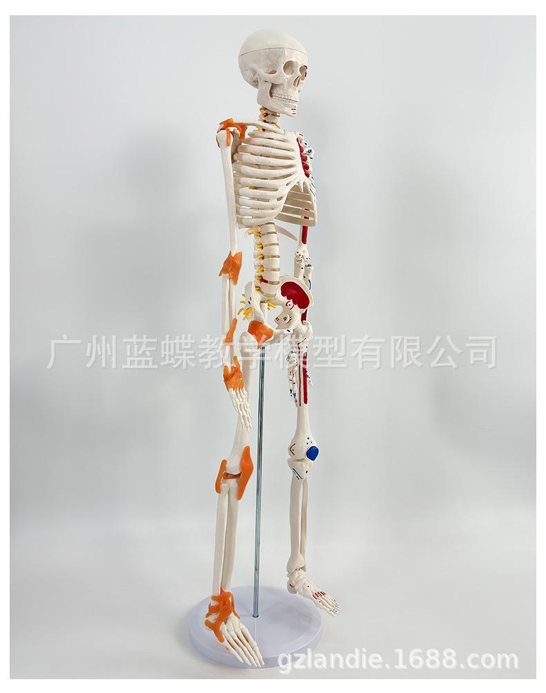 详情_12