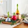 Dropshipping Bola de Cera de Amarilis Cera para Sellar Amarilis de Doble Pétalo Bulbo Planta en Maceta Floreciente Extra Grande Interior Balcón Persona Perezosa