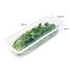 Caja conservadora de cilantro, cebolleta y cebolleta para refrigerador, caja de almacenamiento para refrigerador, artefacto completo para conservar la frescura, caja de grado alimenticio para fideos, huevo, cebolleta y jengibre