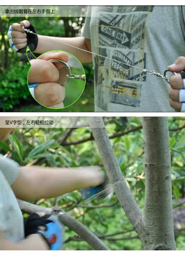 12744352592_557909179