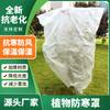 Suministro Transfronterizo de Amazon de Fundas de Protección contra Heladas para Plantas, Fundas de Protección contra Heladas para Frutales de Invierno, Fundas Anticongelantes, Cortinas de Aislamiento Térmico