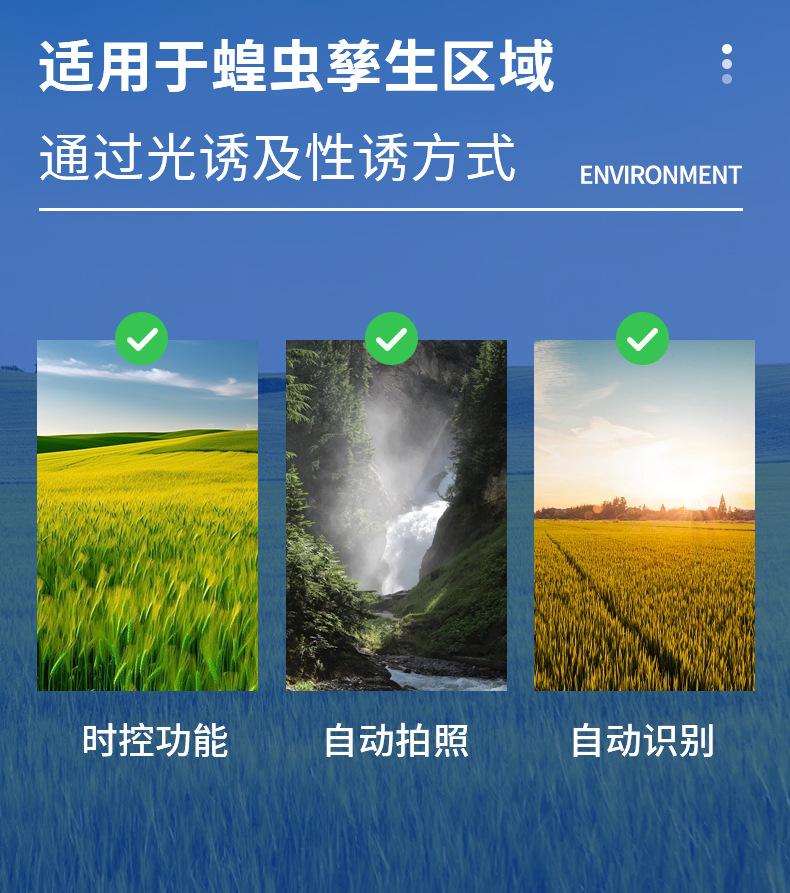 详情_03.jpg
