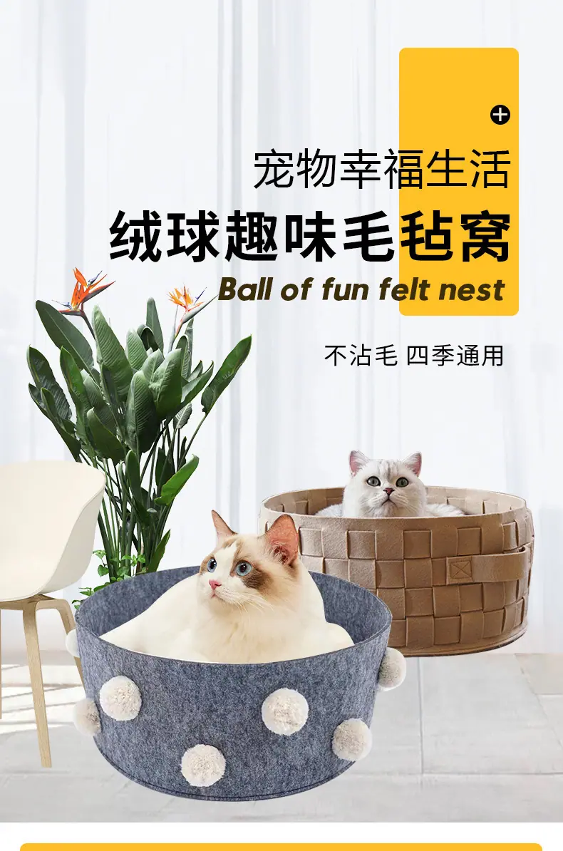 宠物窝_01.jpg
