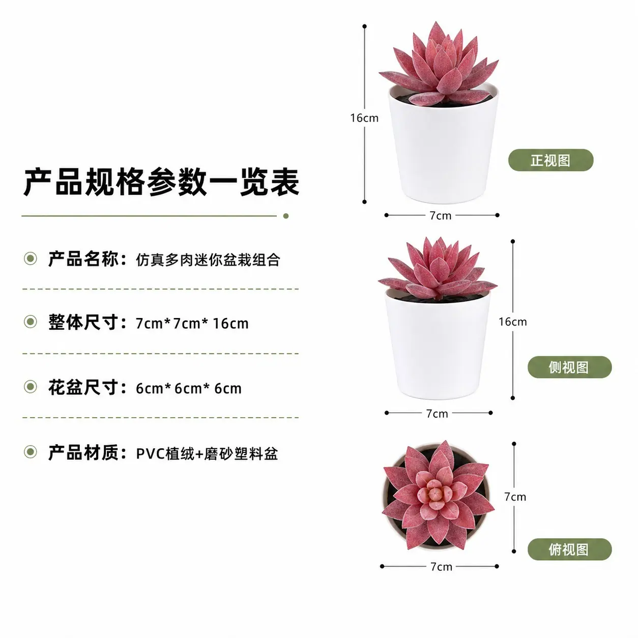 1301多肉详情页 (9).jpg